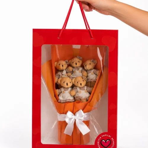 Toptan 5’li kıyafetli ayıcık buketi kırmızı taşıma çantalı 40x28 cm
